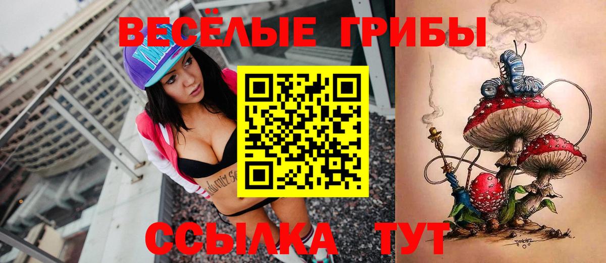 Галлюциногенные грибы Psilocybe Дедовск